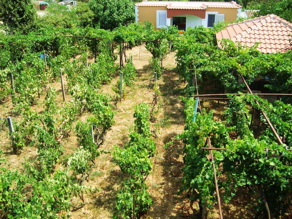 Apartments Rolovina Tivat Habitación foto